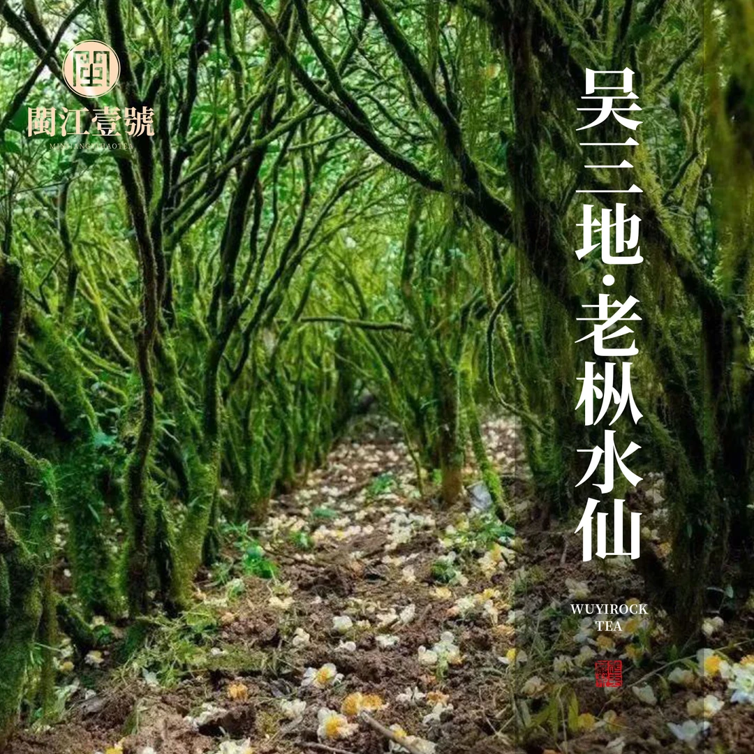 闽江壹号武夷岩茶 代拍链接    吴三地 1000