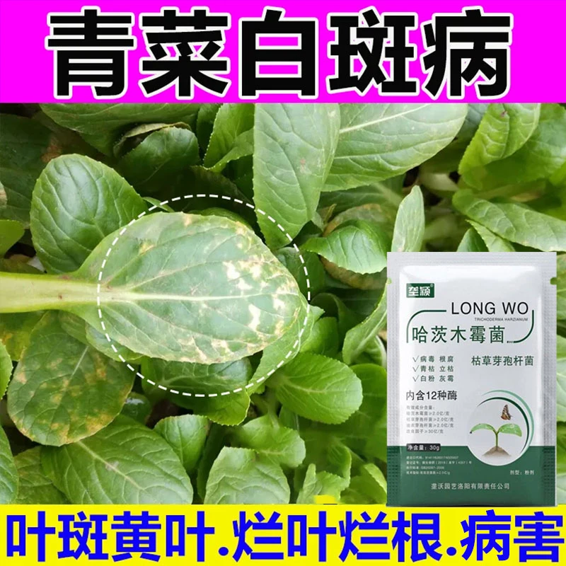 叶菜专用肥青菜病叶类霜霉病软腐病炭疽病黑斑病烂叶病叶菜叶面肥