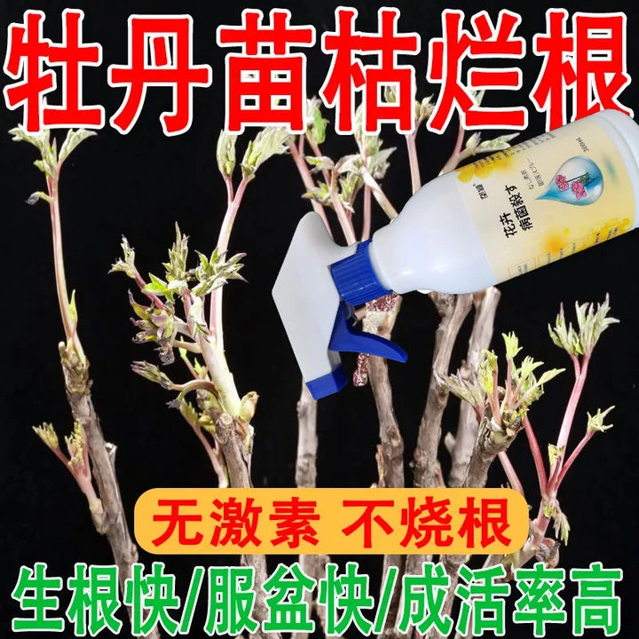牡丹专用营养液防枯萎烂根移栽扦插不扎根成活率高服盆促生根肥料