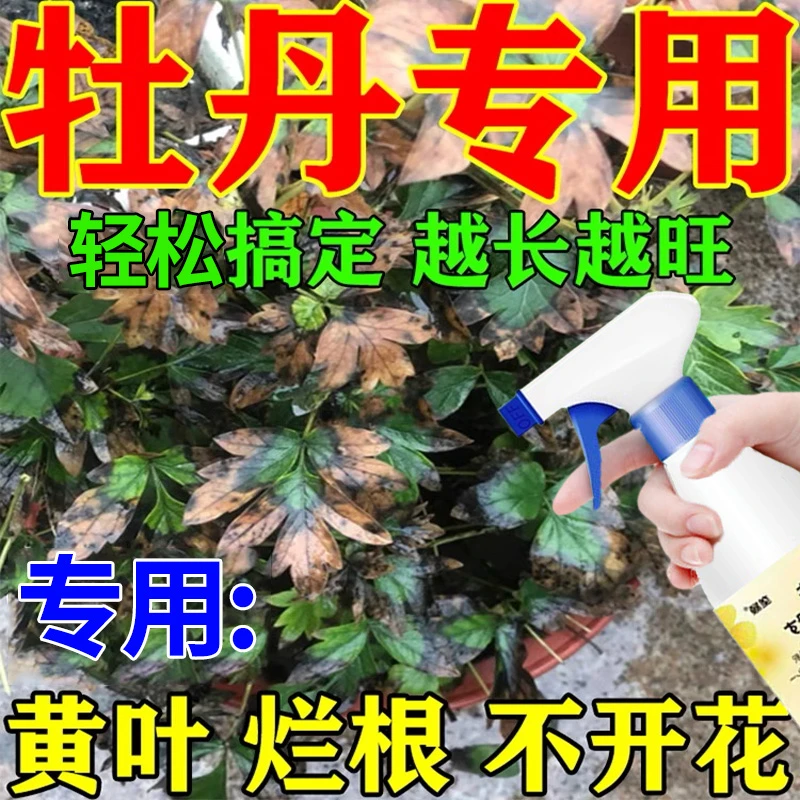 牡丹花肥料专用肥防黑斑病白粉病炭疽病枯萎烂根促生长开花营养液