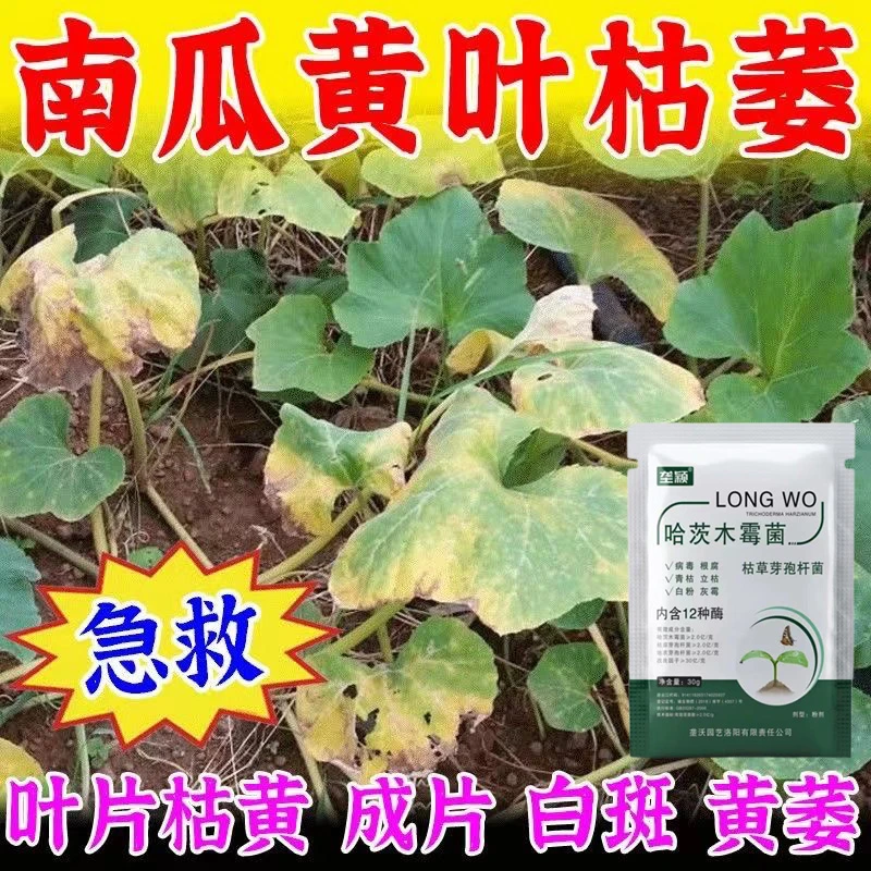 南瓜黄叶专用肥料病毒病根腐白粉立枯病猝倒病除菌剂水溶型叶面肥