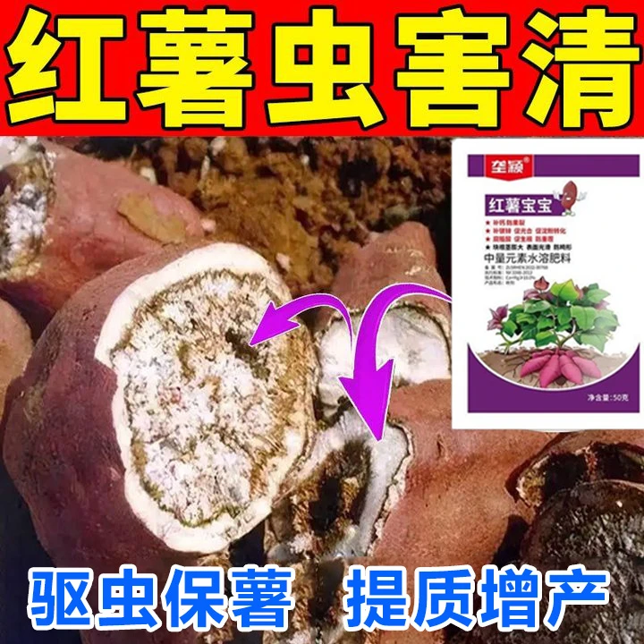 红薯专用肥红薯地下害虫防茎线虫蛀虫病毒病黄叶小叶病红薯叶面肥