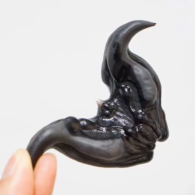 菱角新鲜老菱角湖南特产生吃即食煮熟粉糯黑菱角牛角乌菱当季现摘