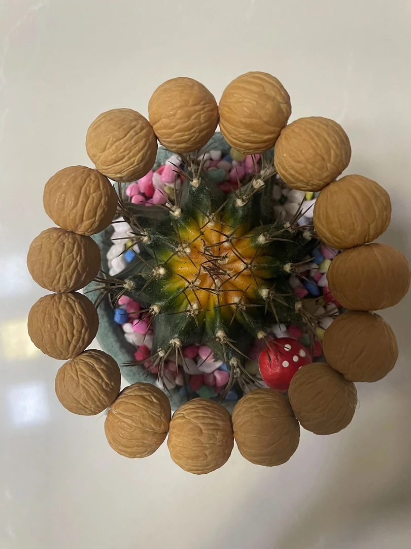 猴头原皮，小手捻，文玩核桃原生态文玩可定制上色快骨质好