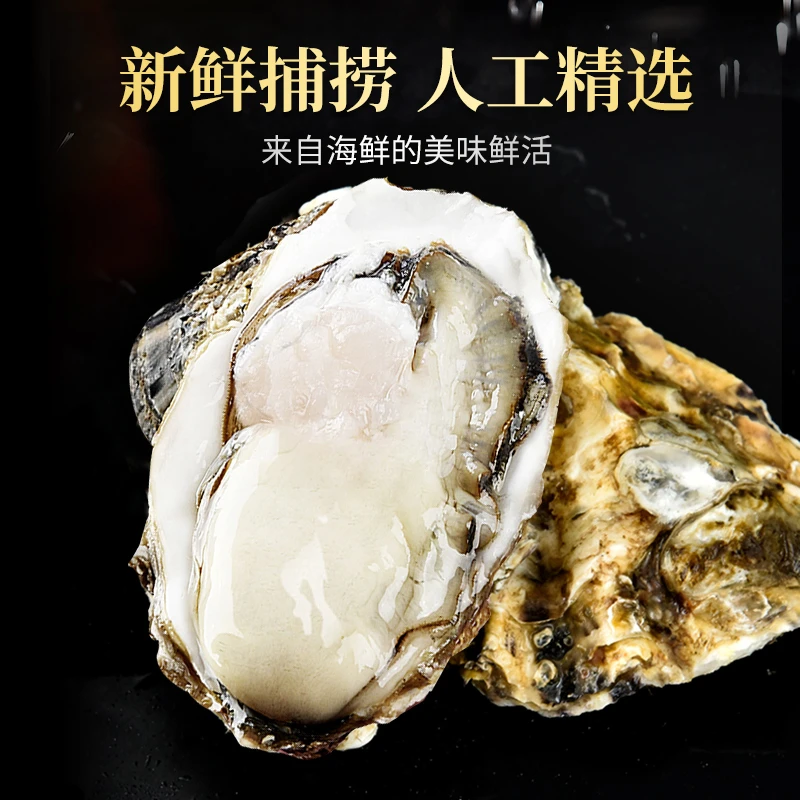 十斤装生蚝(冷链包邮)原产地直发正宗鲜活乳山生蚝新鲜海鲜