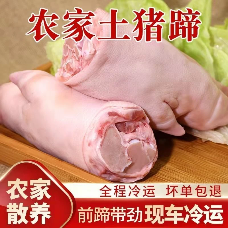 【农家散养前猪蹄】土猪猪爪子猪脚新鲜现杀带筋特色