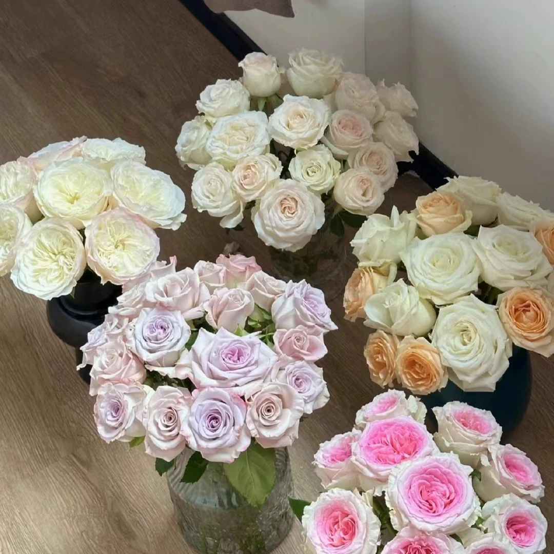 熊熊粉丝专属]家养鲜花 一物一拍