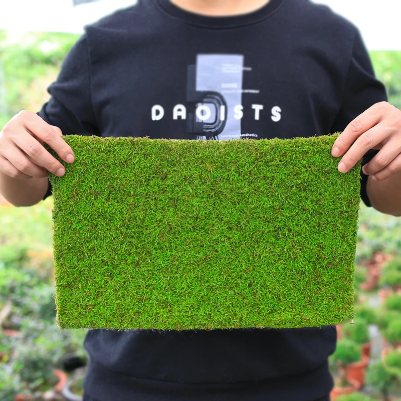 【虎妞】短绒苔藓金弹子盆景铺面人工苔藓青苔