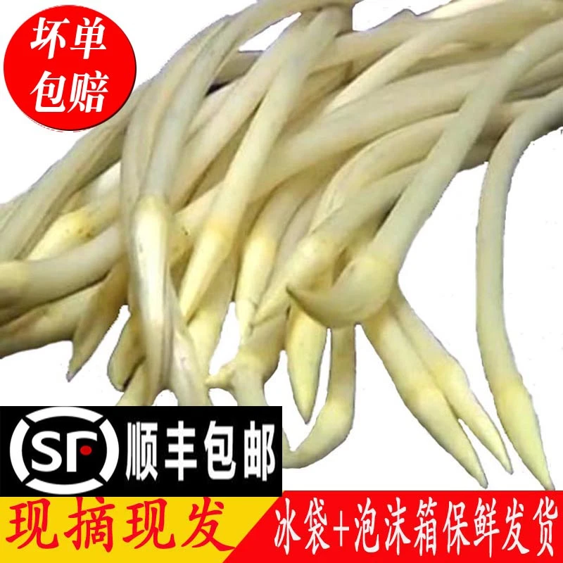 荷辉新鲜藕带湖北洪湖特产当季蔬菜现摘莲藕尖藕苫藕尖[顺丰包邮]