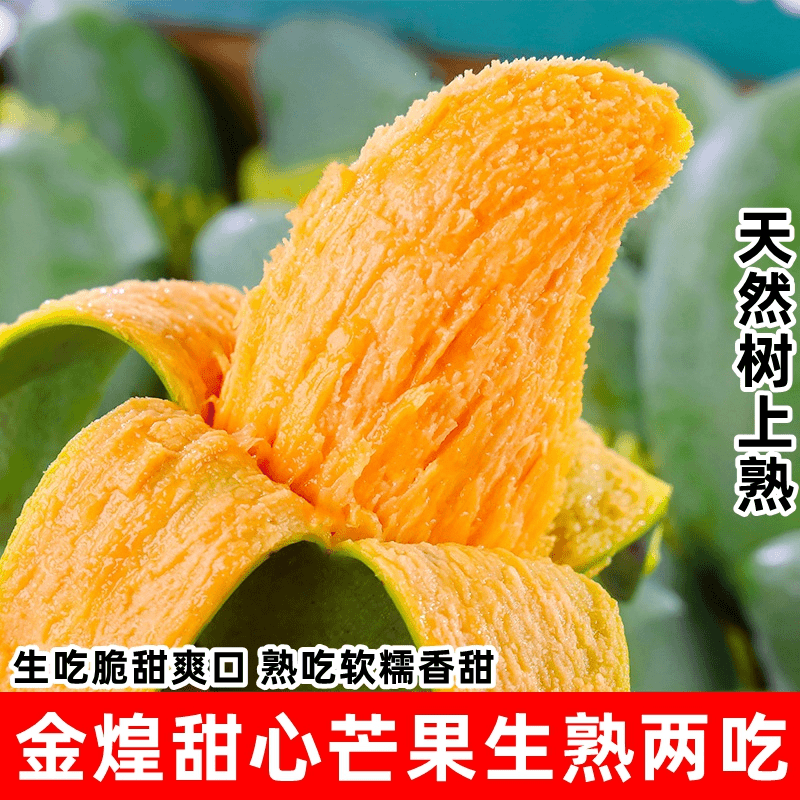 新鲜金煌芒5/9斤大果现摘现发青芒香甜多汁攀枝花芒果整箱批发甜