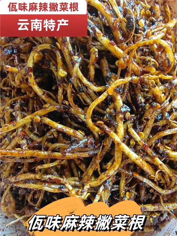 佤味苤菜根500克 800克特产