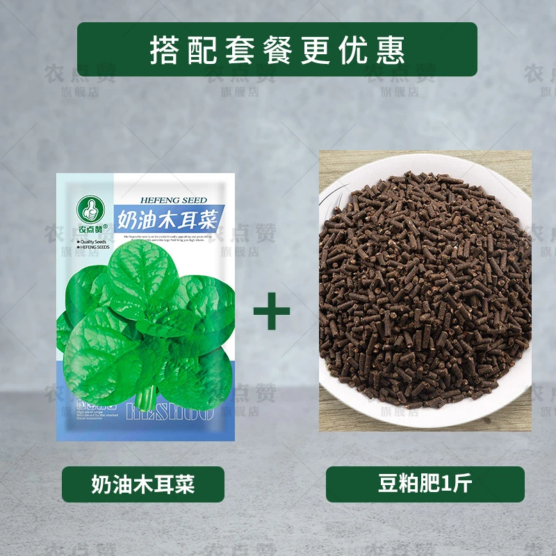 杂交紫罗兰油菜种 5g抗旱紫油菜籽紫色小青菜红油菜种孑阳台种植