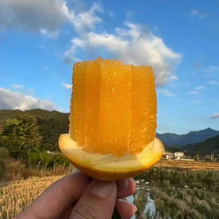 脐橙小王子三百山产地直销中