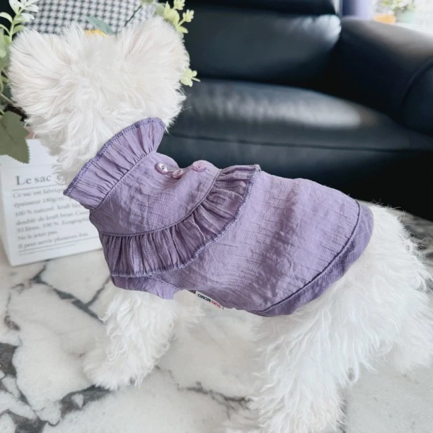 夏季新款泡泡纱甜美公主风花边立领衬衣