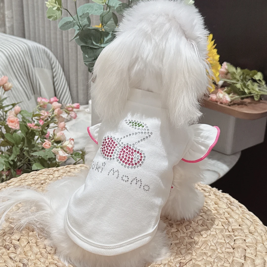 (断码清仓)宠物服装加薄绒樱桃烫钻4色飞袖打底衫