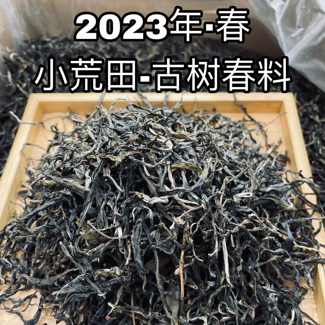 小荒田 春 23年 古树纯料 晒青茶  小荒田有点甜