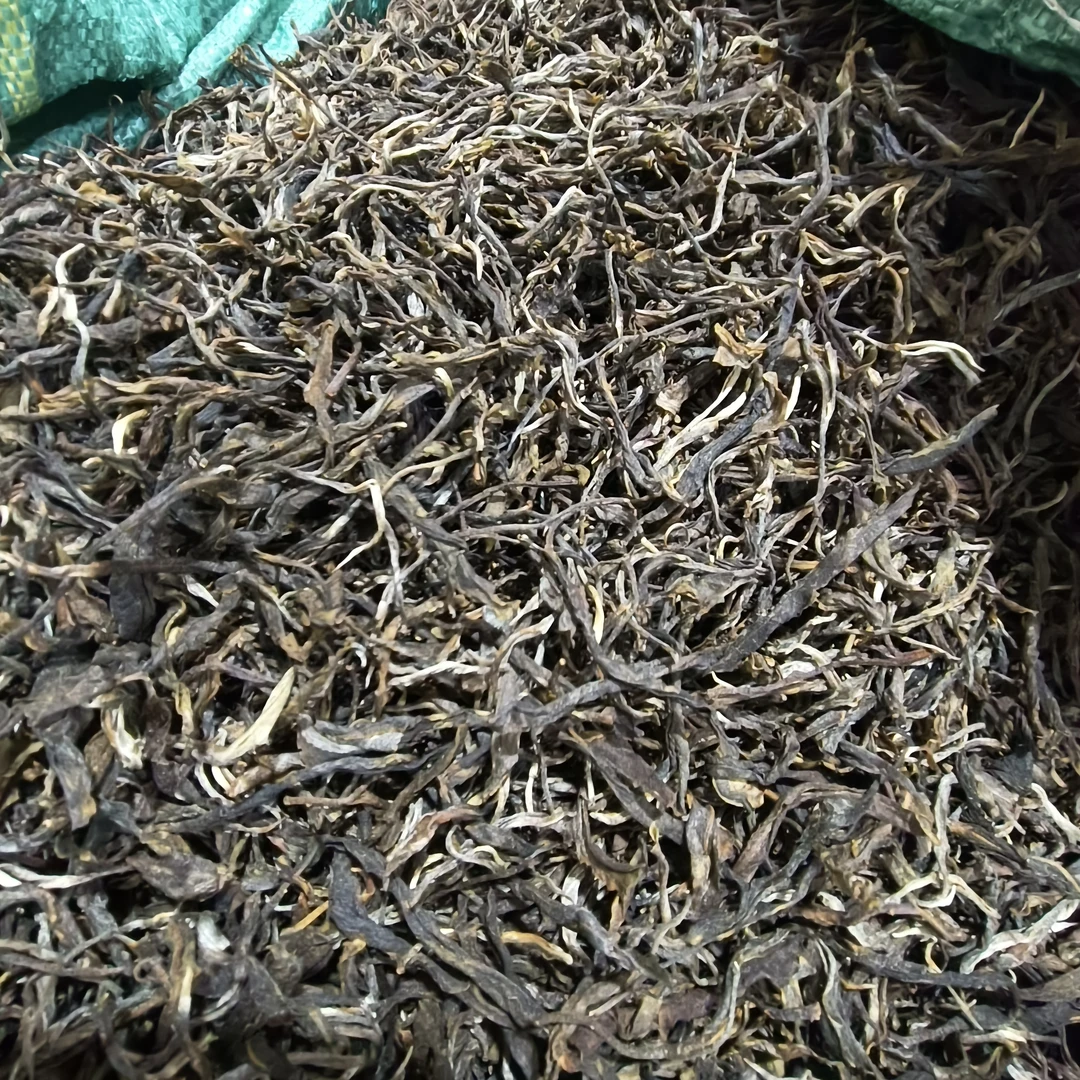 云南 大叶种 晒青茶 古树 23年