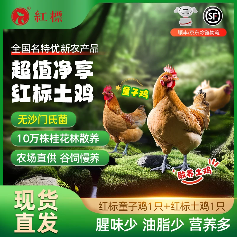 纯谷饲散养童子鸡大鸡组合装0沙门氏菌天然生态新鲜美味肉质达