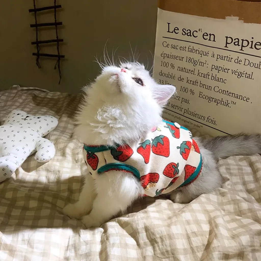 大颗莓莓柠檬背心薄绒 秋冬ins猫衣服宠物狗狗两脚卫衣