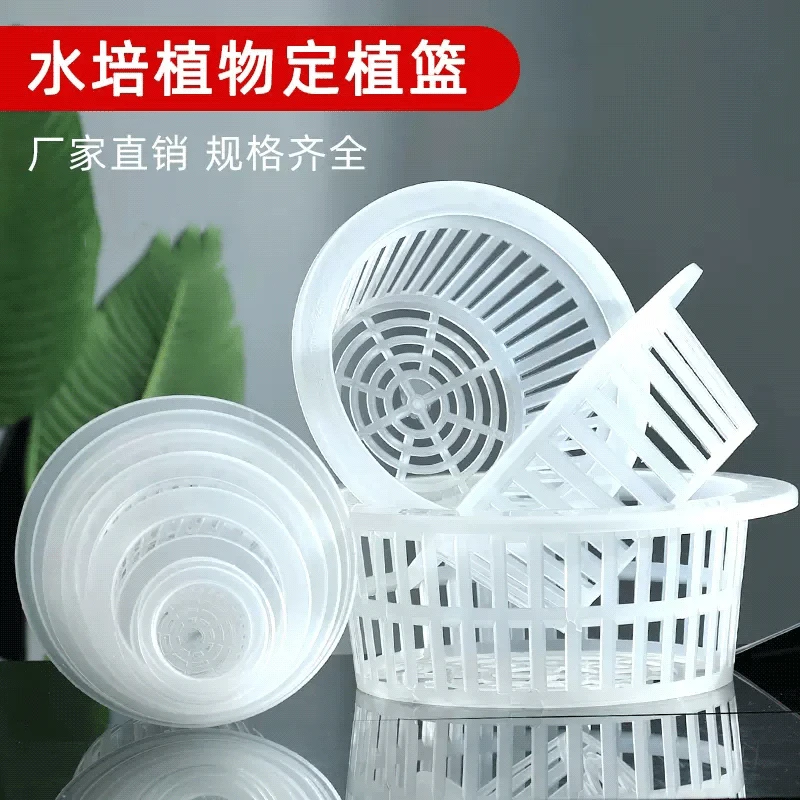 水培定植篮无土植物玻璃花瓶定植篮种植篮绿萝吊兰器皿圆形固根器