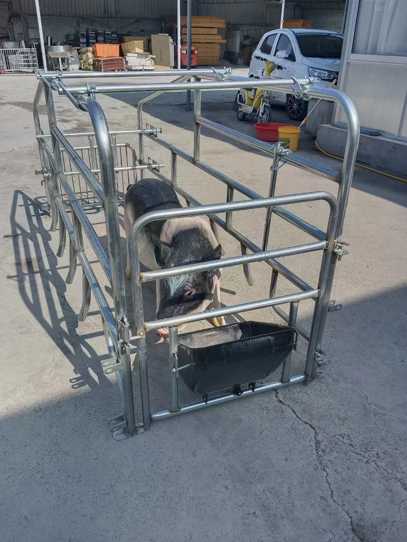 母猪落地产床简易母猪产床落地母猪位