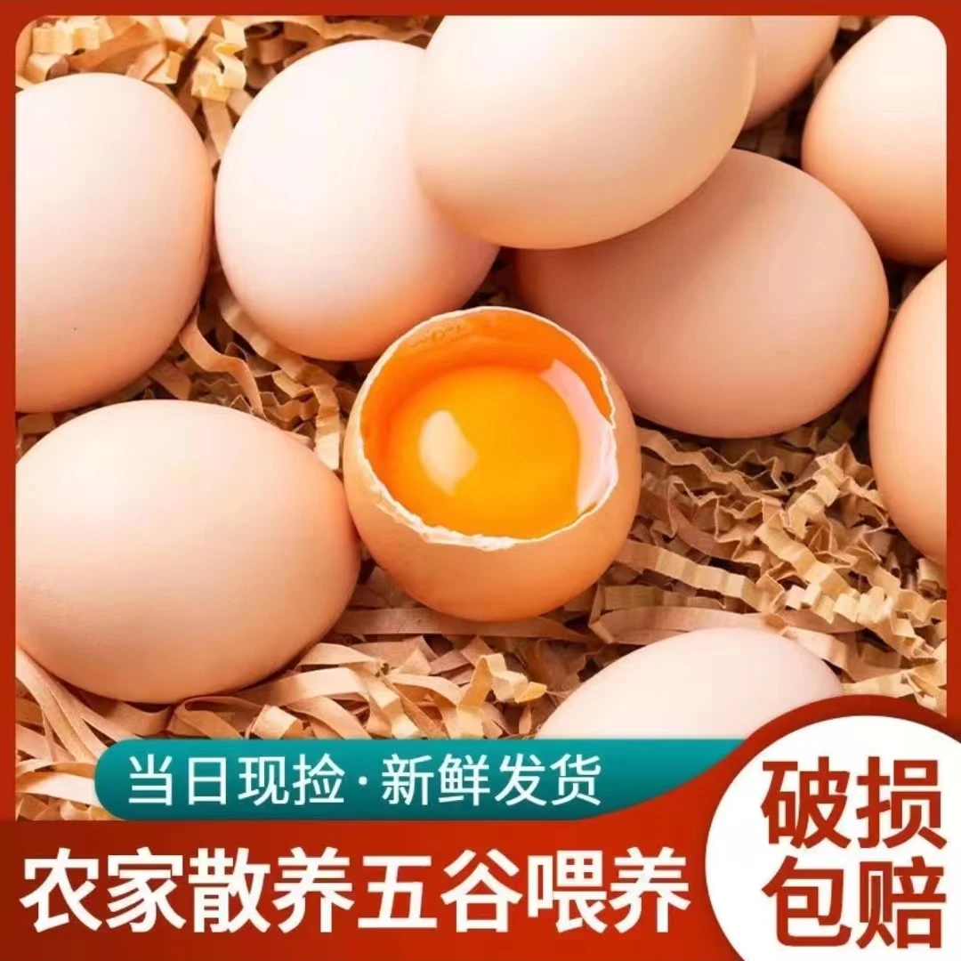 农家放养粉壳土鸡蛋50枚/2000g破损包赔
