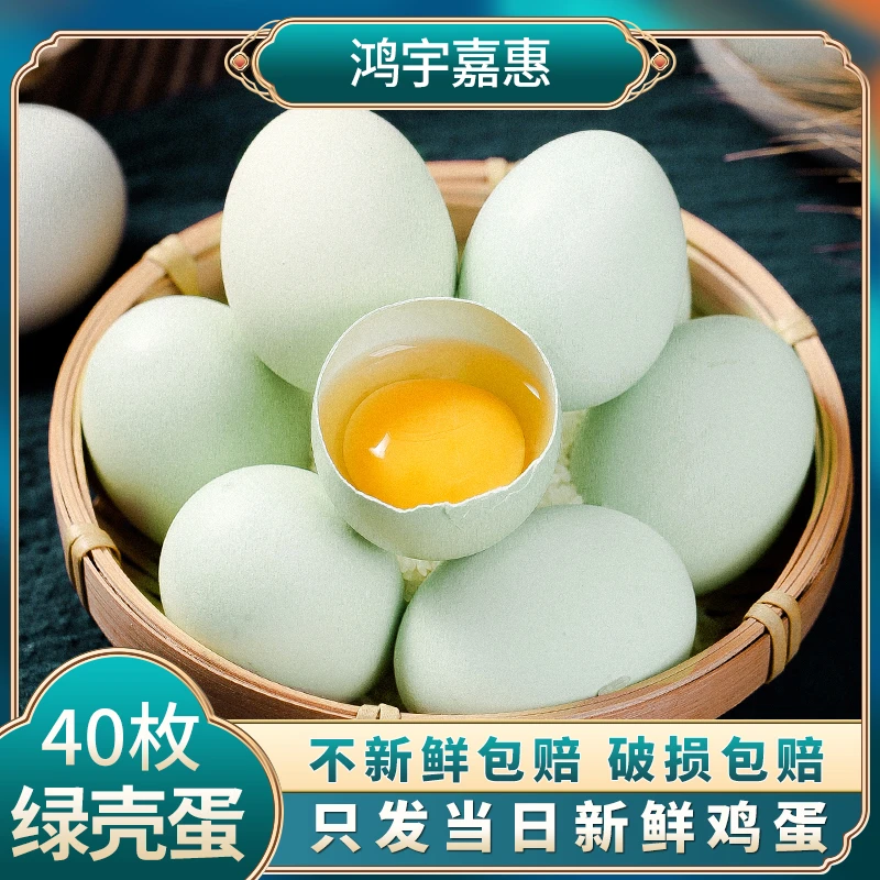 【竹林虫虫】农家山林放养绿壳乌鸡蛋40枚1600g/个头小/嫌小勿拍