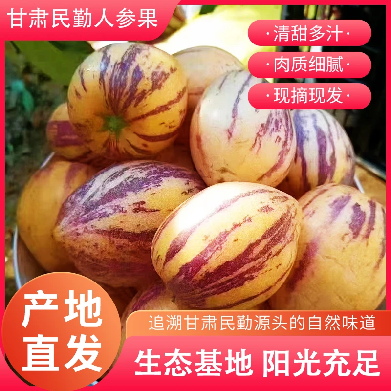 甘肃民勤沙漠多汁人参果新鲜水果3/5/8斤自然成熟黄肉大果人生果