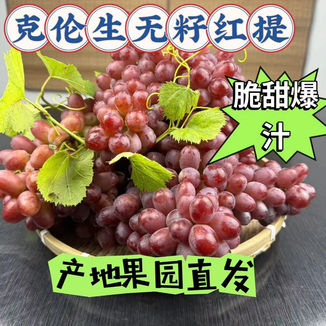 【产地直发】精品克伦生红提无籽葡萄现摘现发脆甜爆汁果肉饱满鲜红