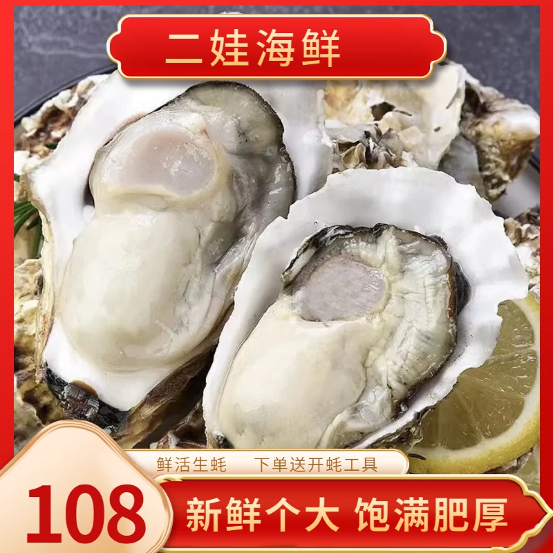 【二娃海鲜】连云港发货 生蚝 品质保证 5斤装