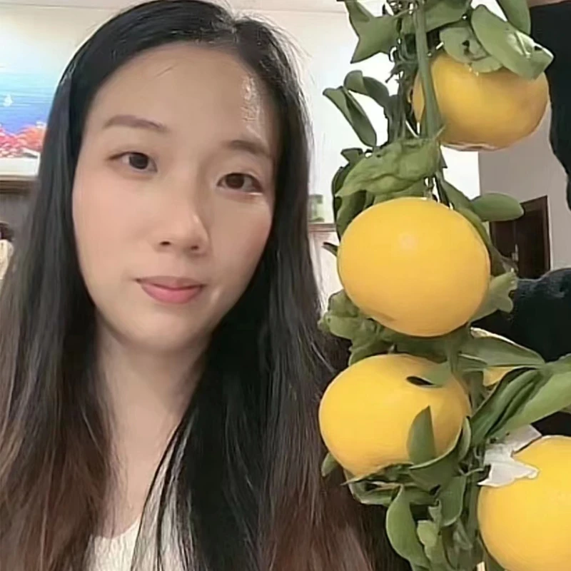 【清清推荐】正宗福建甜桔柚甜心柚子新鲜孕妇水果桔子5/9斤礼盒装