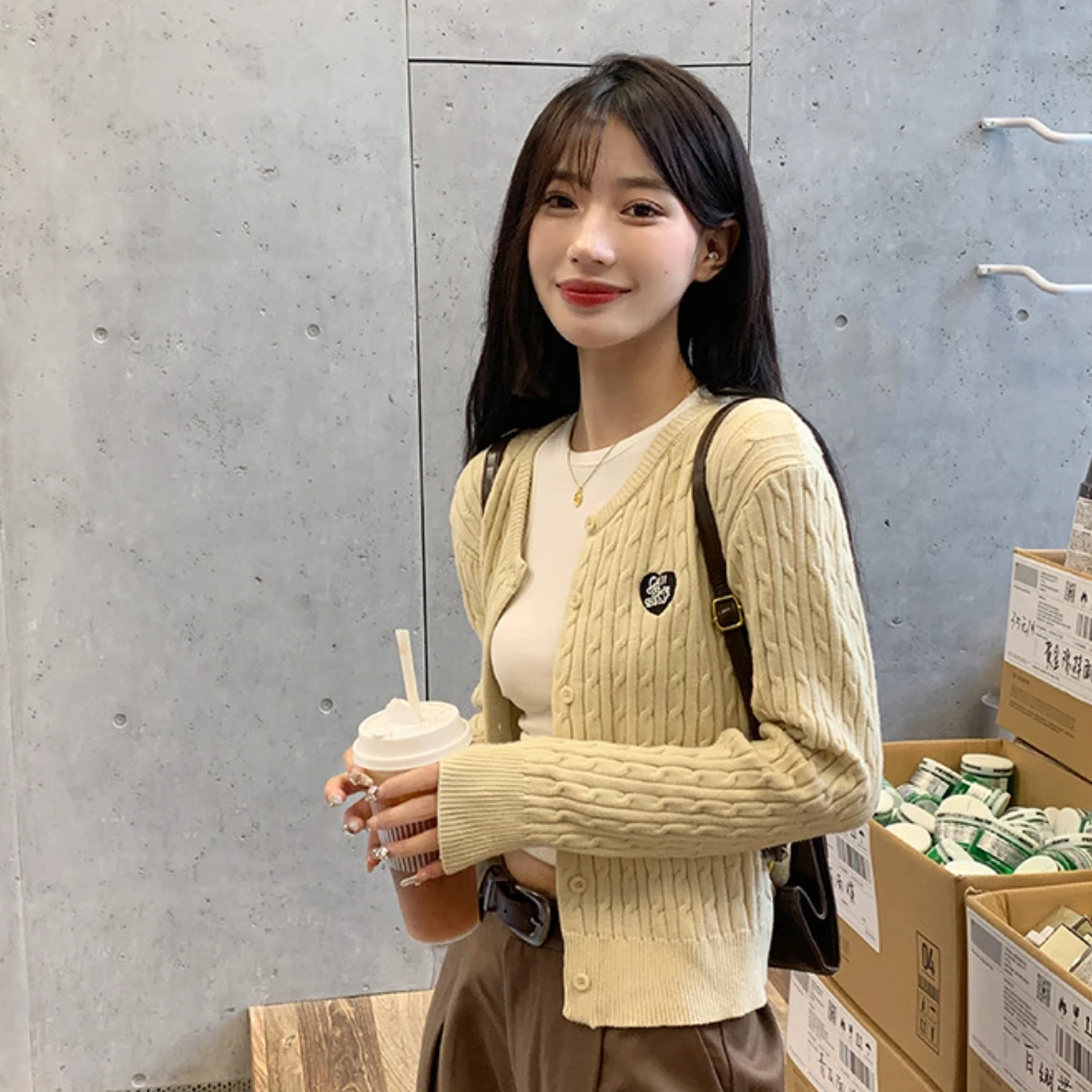 爱心字母麻花针织衫开衫外套女2024高级感韩系内搭毛衣独特上衣