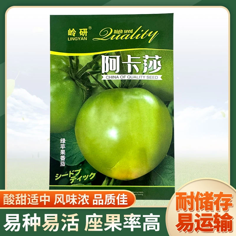 阿卡莎青苹果柿子籽+黄瓜籽播种饱满优良植株适宜成熟种植深绿色
