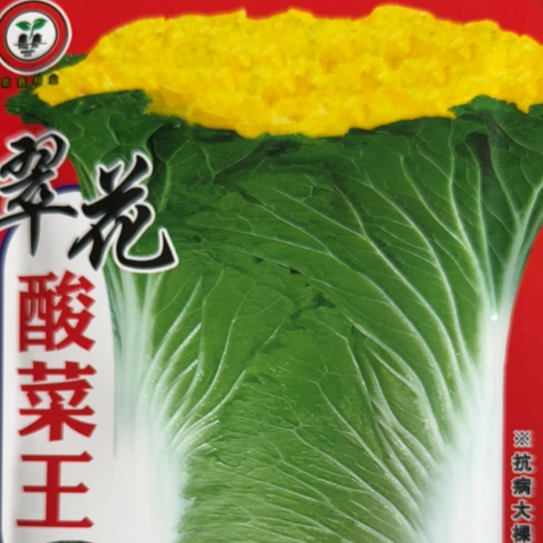 翠花酸菜王大白菜籽25克