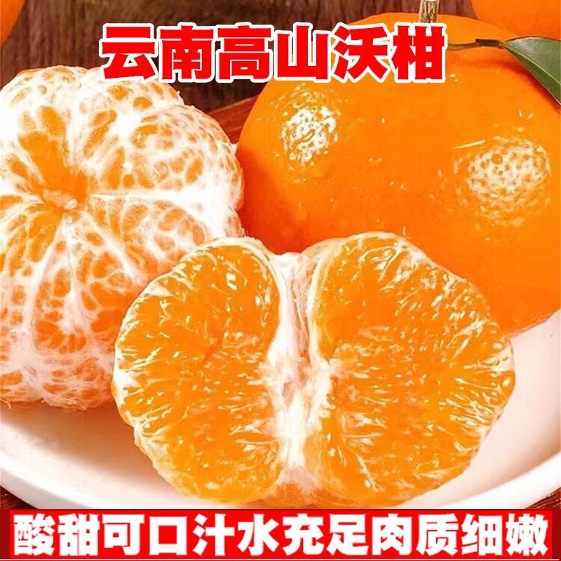 云南高山沃柑新鲜优质柑橘皮薄甜蜜爽口品质多汁应季水果爆甜多汁
