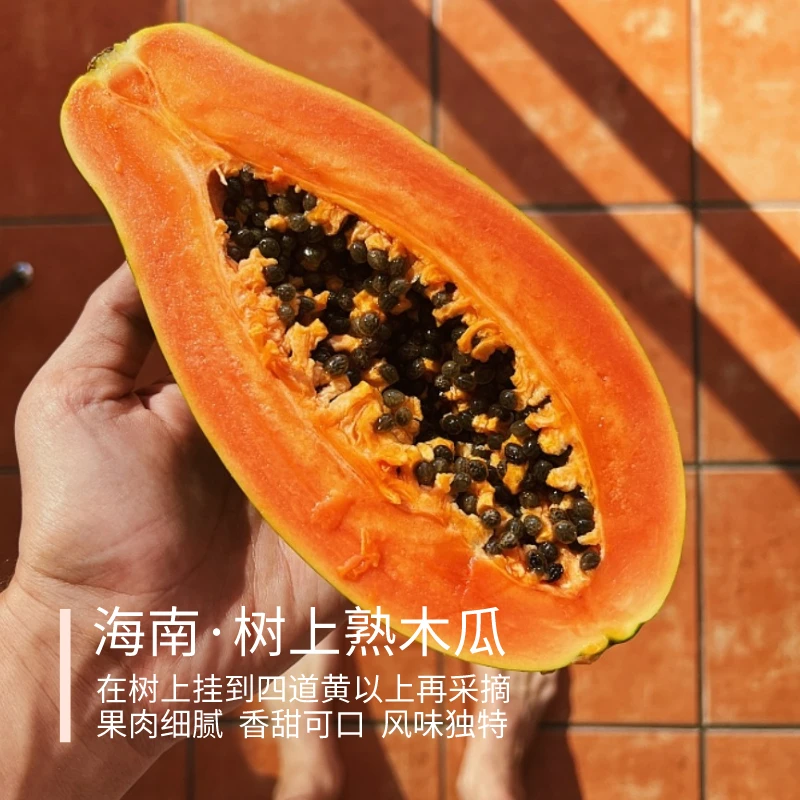 树上熟木瓜 海南 红心木瓜 果肉细腻香甜可口清甜多汁 4.5斤2-5个