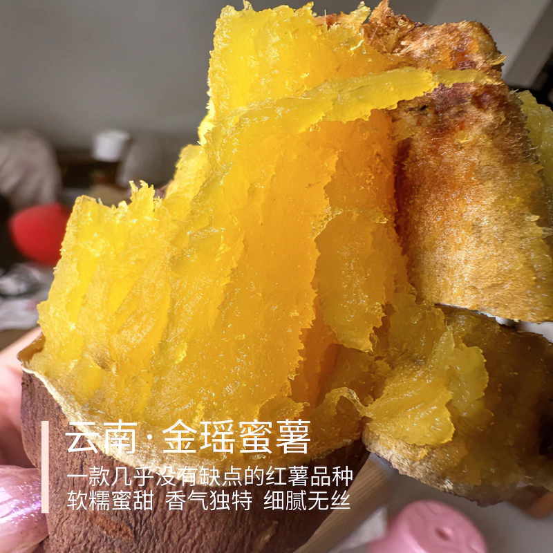 金瑶蜜薯 软糯香甜 适合烤制 地瓜金时×红瑶×玛莎莉三者结合 3斤