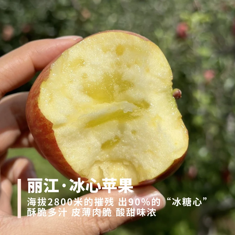 丽江冰心苹果 来着2800米海拔 糖心率高 高甜高酸酥脆多汁 滋味足
