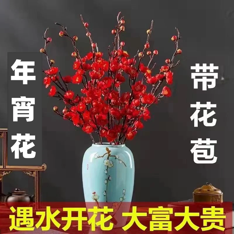 【遇水开花】耐寒新年装饰梅花枝遇水开花冬季室内水培梅干枝年宵花