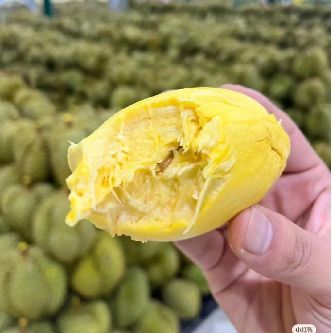 【一物一拍】泰国金枕大榴莲老树树熟生切不售后