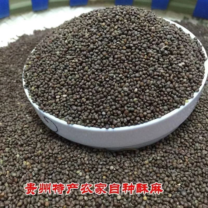 贵州高山种植新苏麻苏麻籽苏籽种子馅引子无杂质贵州酥麻农家食用