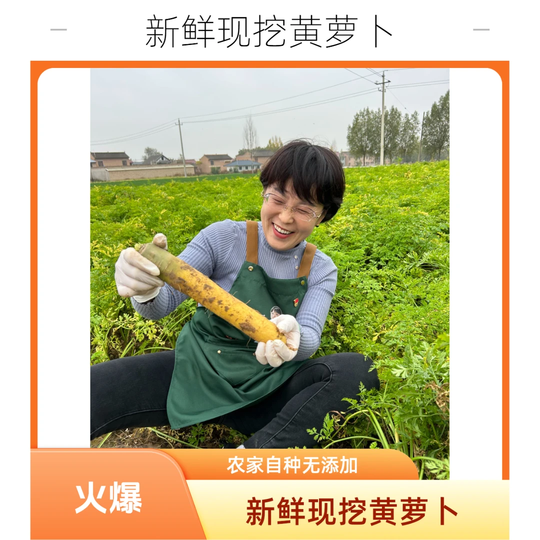 王姐力荐农家自种现挖现发新鲜胡萝卜天然营养绿色健康的舌尖甄选