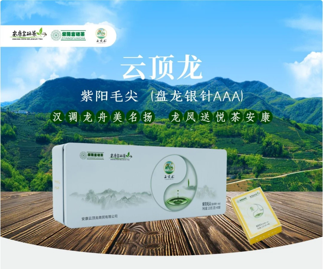 陕南安康紫阳绿茶板栗香雨前毛尖120g(盘龙银针）紫阳毛尖系列