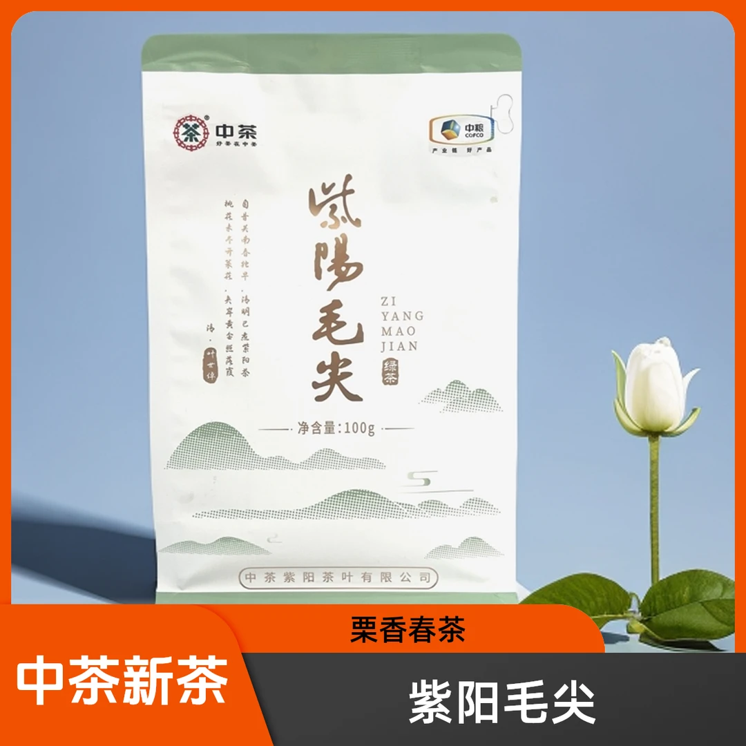 中茶2025年紫阳毛尖茶 新茶上市 浓香耐泡  100g袋
