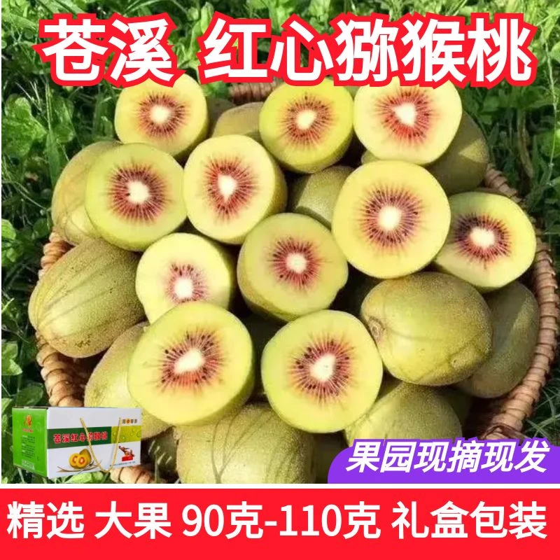 苍溪红心猕猴桃大果90克-110克24枚5斤