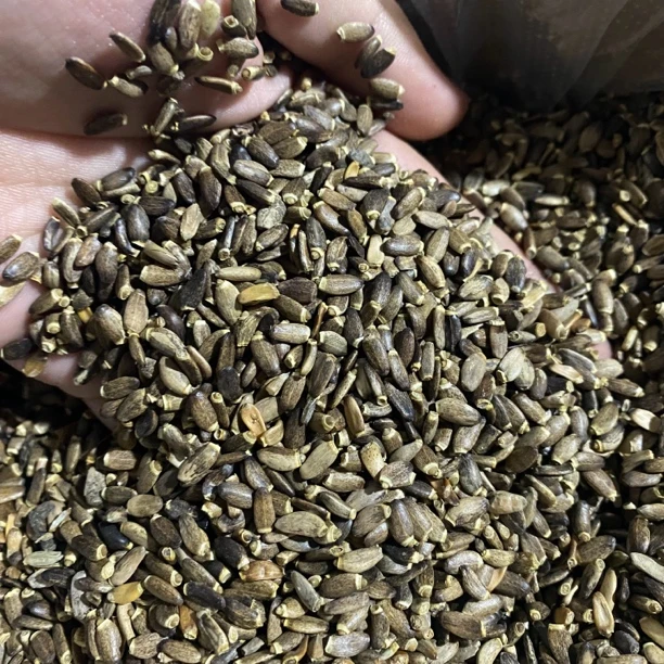 【s土特产】水/飞/蓟 净含量250g-1000g