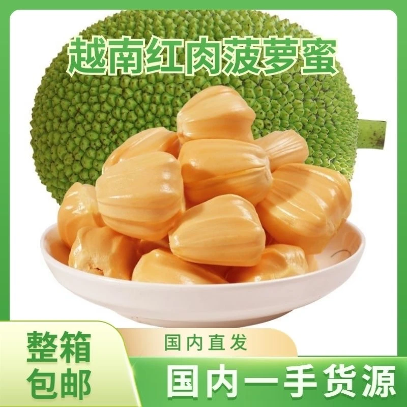 【树上熟红肉菠萝蜜脆甜】越南整个干包进口热带当季新鲜水果包邮