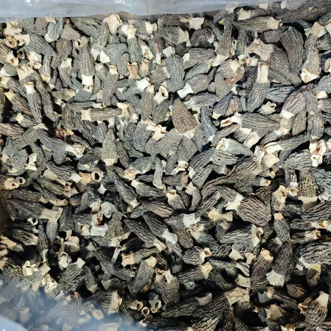 羊肚菌
