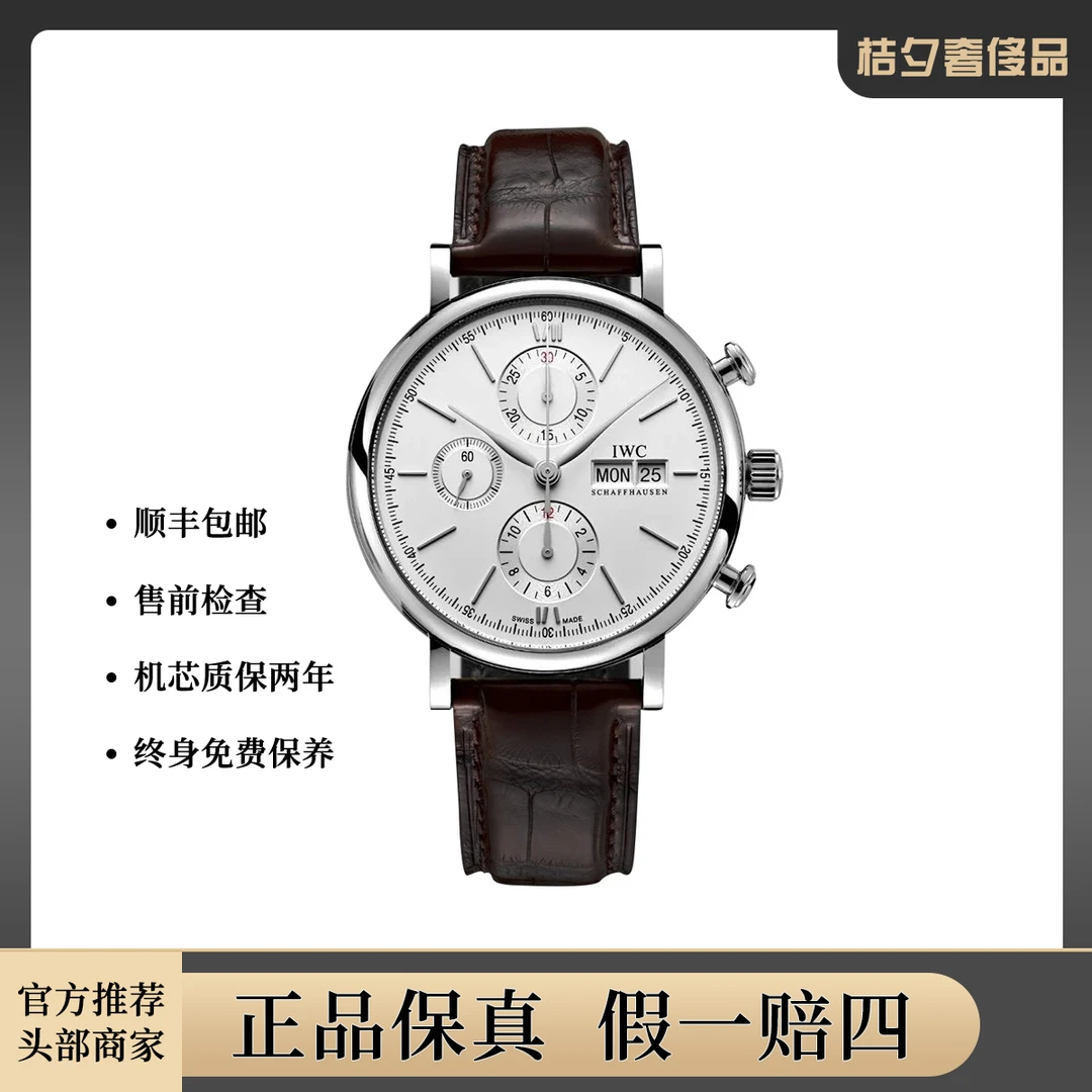 99新 IWC/万国 柏涛菲诺系列IW391027腕表/自动机械/WHP022179