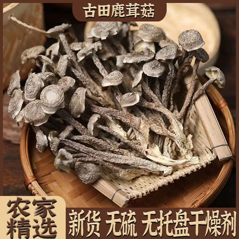 林莺专属鹿茸菇干货当季日晒新货无熏硫脆脆菇煲汤鲜香脆爽菌汤包